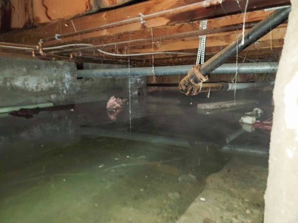 Best Flood damage cleanup  in Fredericksburg, IA