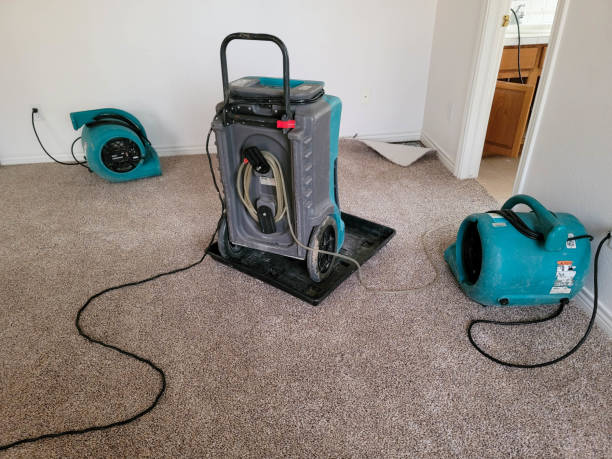 Best Professional water damage repair  in Fredericksburg, IA