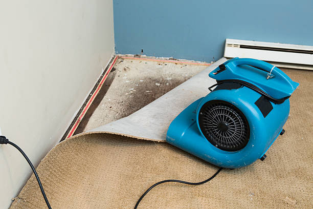 Best Flooded house restoration  in Fredericksburg, IA
